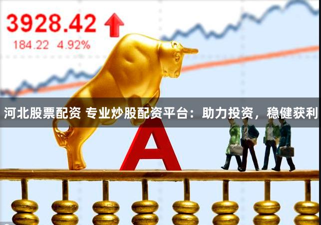 河北股票配资 专业炒股配资平台：助力投资，稳健获利